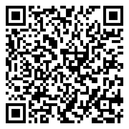 UPI QR code to pay ₹99 to THE ANEES